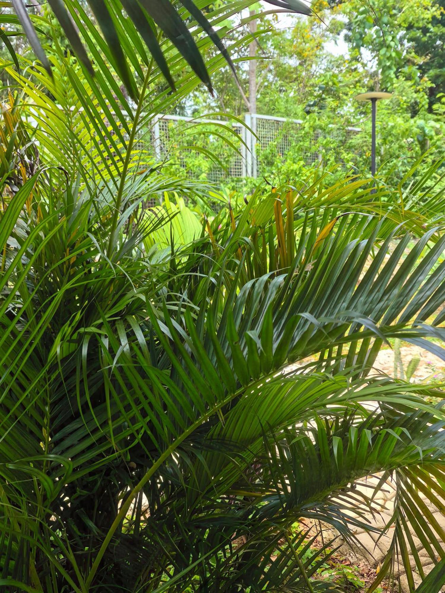 Blue Joys Msr Hotel Siquijor Exterior photo